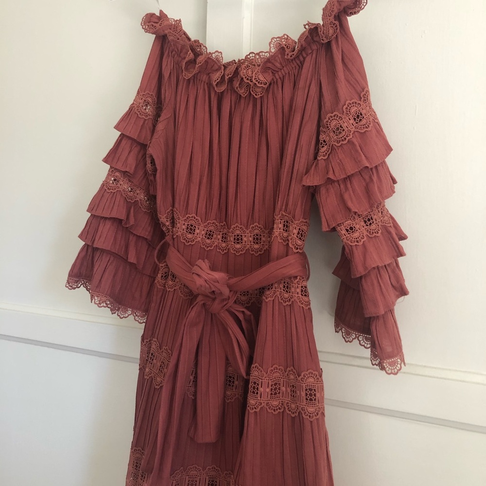 Zimmermann Ruffled Lace Mini Dress in Rust - Picture 7 of 8